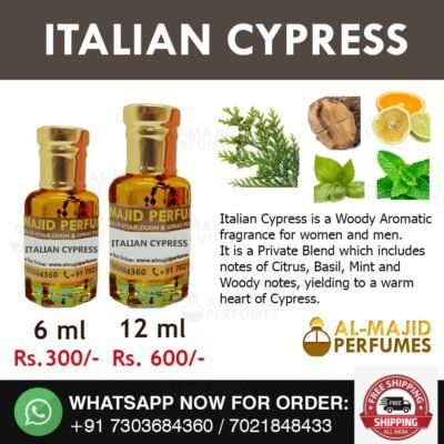 Alternative view of Italian Cypress Attar