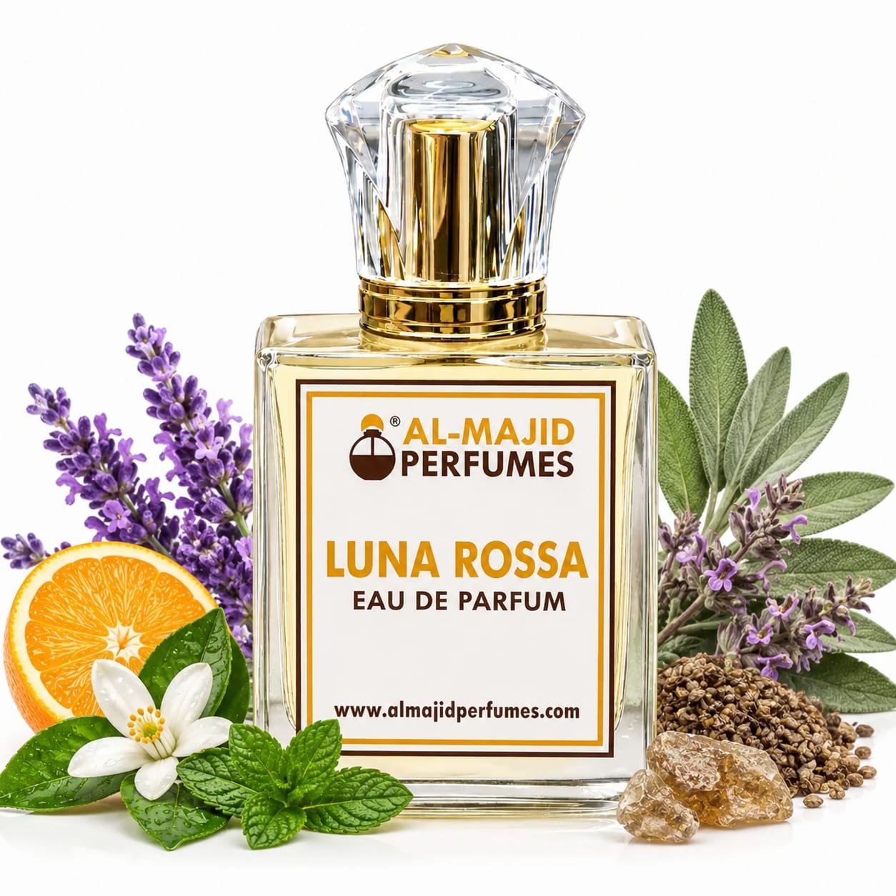 Luna Rossa Perfume
